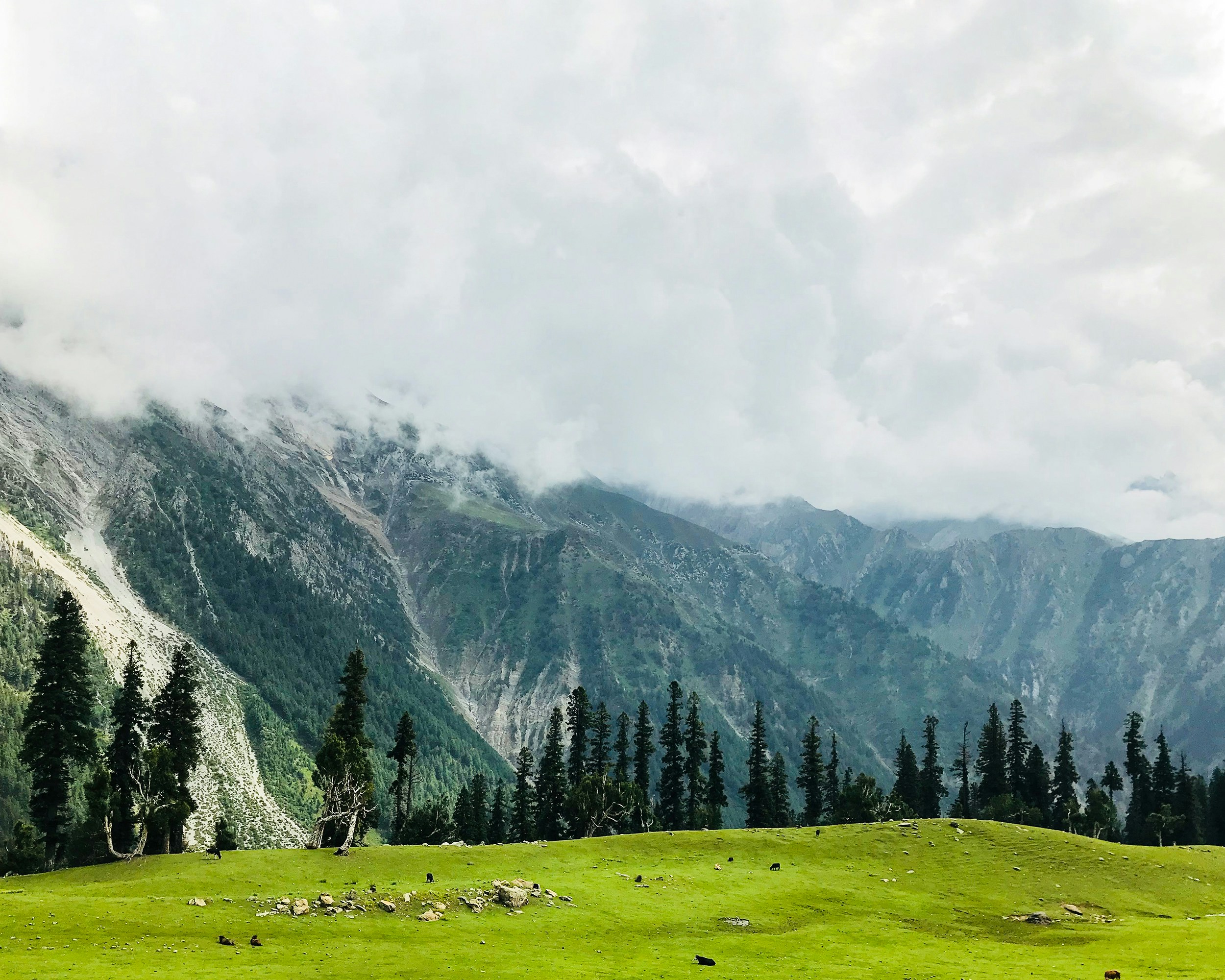Gulmarg